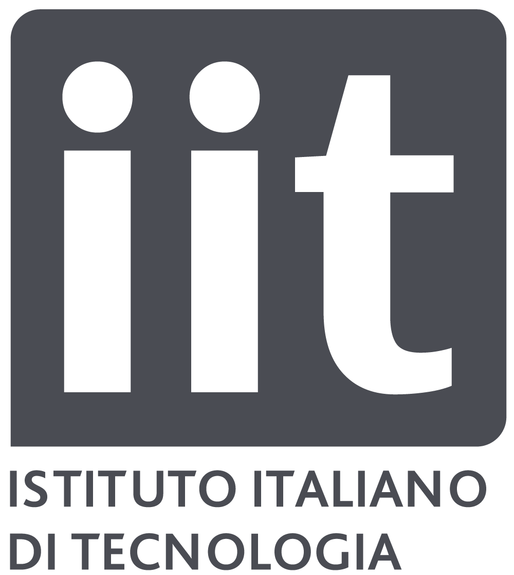 IIT